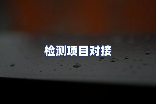 检测项目对接