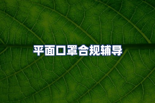 平面口罩合规辅导