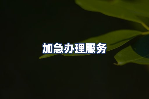 加急办理服务